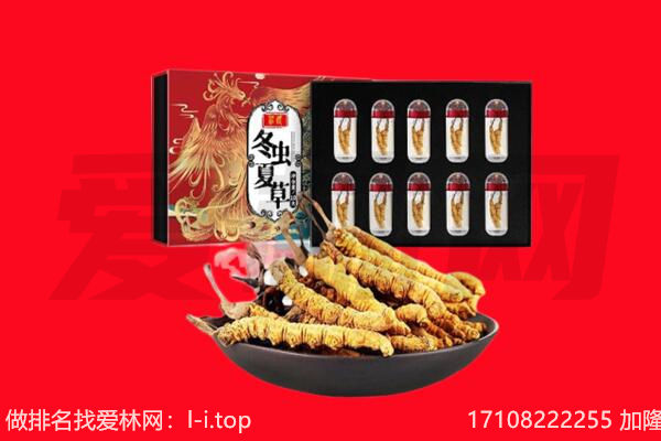 铜仁沿河县回收虫草.jpg